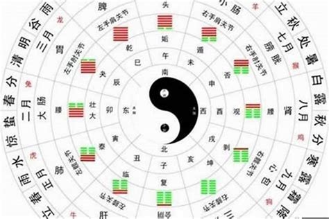 陰陽五行查詢|【八字陰陽怎麼看】免費八字陰陽查詢，一看你的生辰八字是純陰。